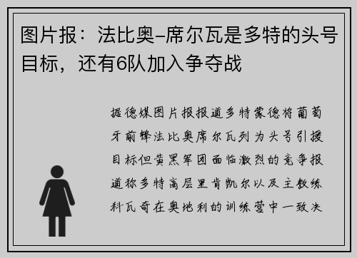 图片报：法比奥-席尔瓦是多特的头号目标，还有6队加入争夺战