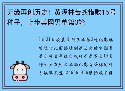 无缘再创历史！黄泽林苦战惜败15号种子，止步美网男单第3轮